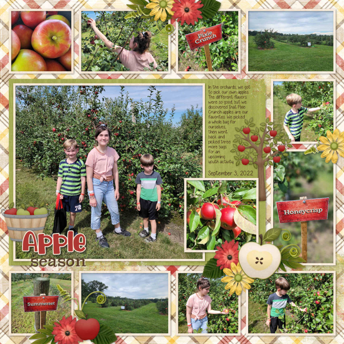 Apples