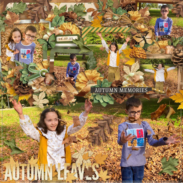 Autumn leaves