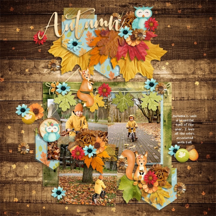 Beautiful_Autumn1