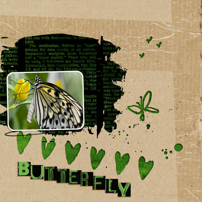 Butterfly
