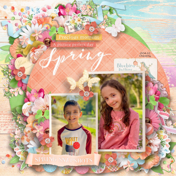 Spring Snapshot