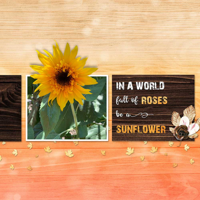 Be A Sunflower