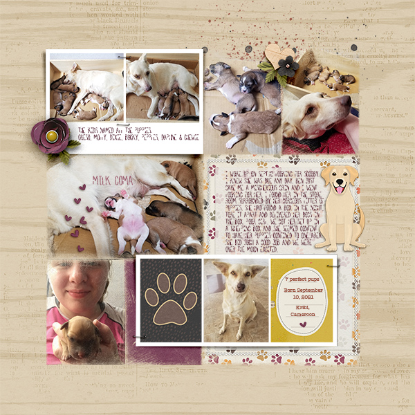 newpuppiesweb