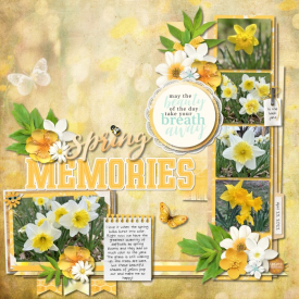 042322_Daffodils_700.jpg