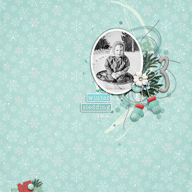 1966_01-Saucer-Sled-copy.jpg