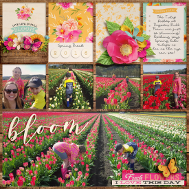 2016_4_Bloom_wendy.jpg