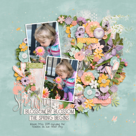 2019-05_Spring_blooms.jpg