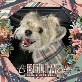 2022-10_Bella.jpg