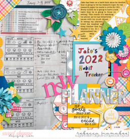 2022_1_4-j-new-planner-cschneider-HP153pg1.jpg