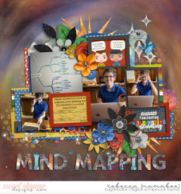 2022_2_5-mind-mapping-ponytails-temptations7-4.jpg