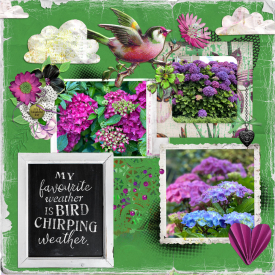 6a-Featured-Designer-Emma.jpg