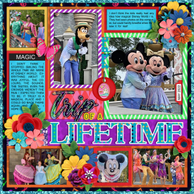 6b-Featured-designer-Cindy-Schneider.jpg