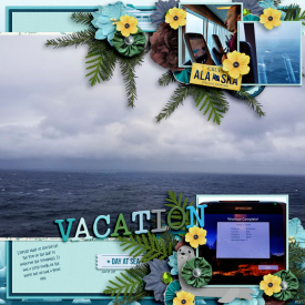 Alaskaexercise2019web.jpg