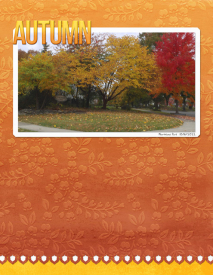Autumn---2.jpg