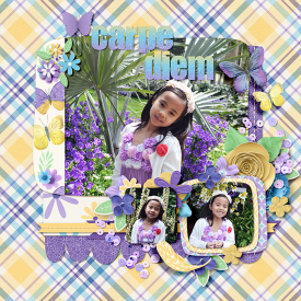 CarpeDiem_immaculeah.jpg
