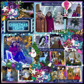 Christmas_lights_gallery_opt.jpg