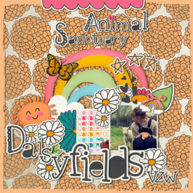 Daisyfield_vzw_animal_sanctuary.jpg