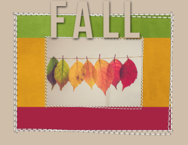 FALL-_2_.jpg