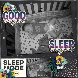 GoodNightSleepTight072911web.jpg