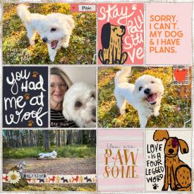 LBW_crazydoglady-treed_365Unscripted_stitchedgrids2-ck01.jpg