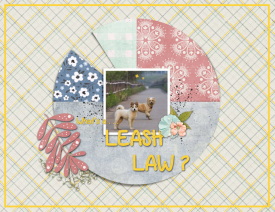 LEASH-LAW.jpg