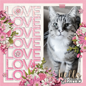 Love-GizmoWEB.jpg