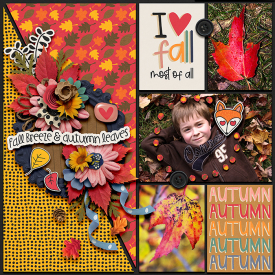 Pretty-Autumn.jpg