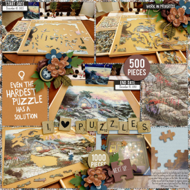 PuzzleBoard1222web.jpg