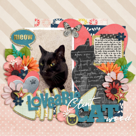 SSD_Jan22_9a_Cat_Lovable-Clint-Catwood.jpg