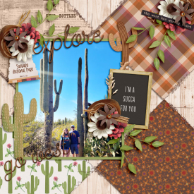 SaguaroSucca0322web.jpg