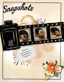 Snapshots17.jpg
