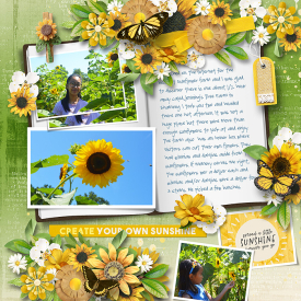 Sunshine_immaculeah2.jpg