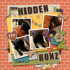 TSS_2A_Hidden-Bonz.jpg