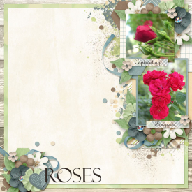TSS_6B_Roses.jpg