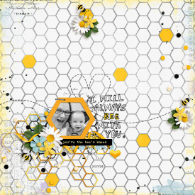 The-Bees-LO-copy-800-ssd.jpg