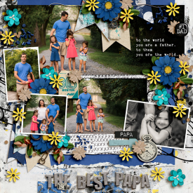 alchemywildstudio-sweetstartersvolume6-tstroud-familyman-LEA.jpg