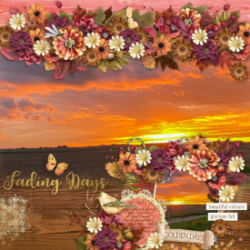 automne_coucher_de_soleil_Gallery_2.jpg