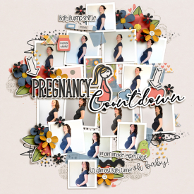ayi_mommode-expecting-LEA.jpg