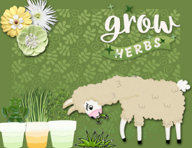 grow-herbs.jpg