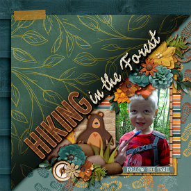 h-hiking-in-the-forest.jpg