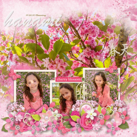hanami_gallery_2.jpg
