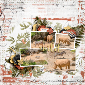 ljs-blended6pak17-LEA-700.jpg