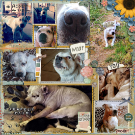 love_my_dogklein.jpg