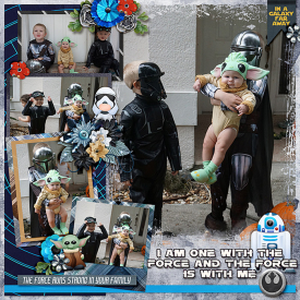 one-with-the-force-20.jpg