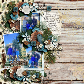 riverrose-snowflakesandevergreens-LEA.jpg