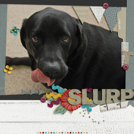 slurp-web-700.jpg