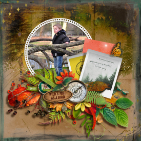 tnp-ADVENTURE-WALK-pd4.jpg