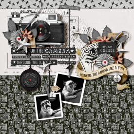 tnp-BEHINDTHELENS-LEA.jpg