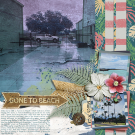 tnp-INTHECORNER-cheryl-lo2.jpg