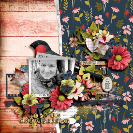 tnp-LIVEYOURBESTLIFE-bundle-LEA.jpg